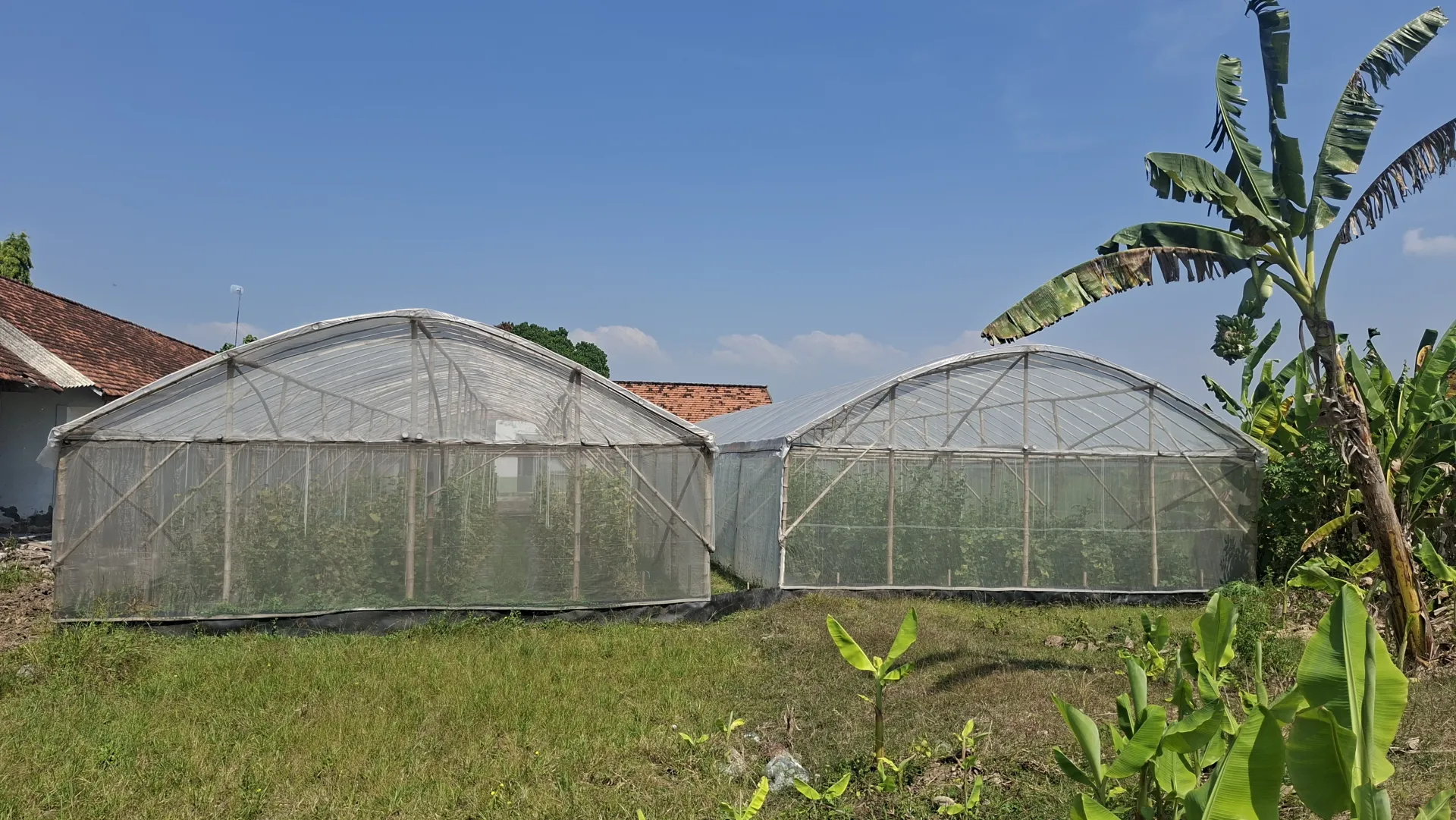 Pelatihan Digitalisasi UMKM Desa Tejoasri Tingkatkan Daya Saing Produk Lokal